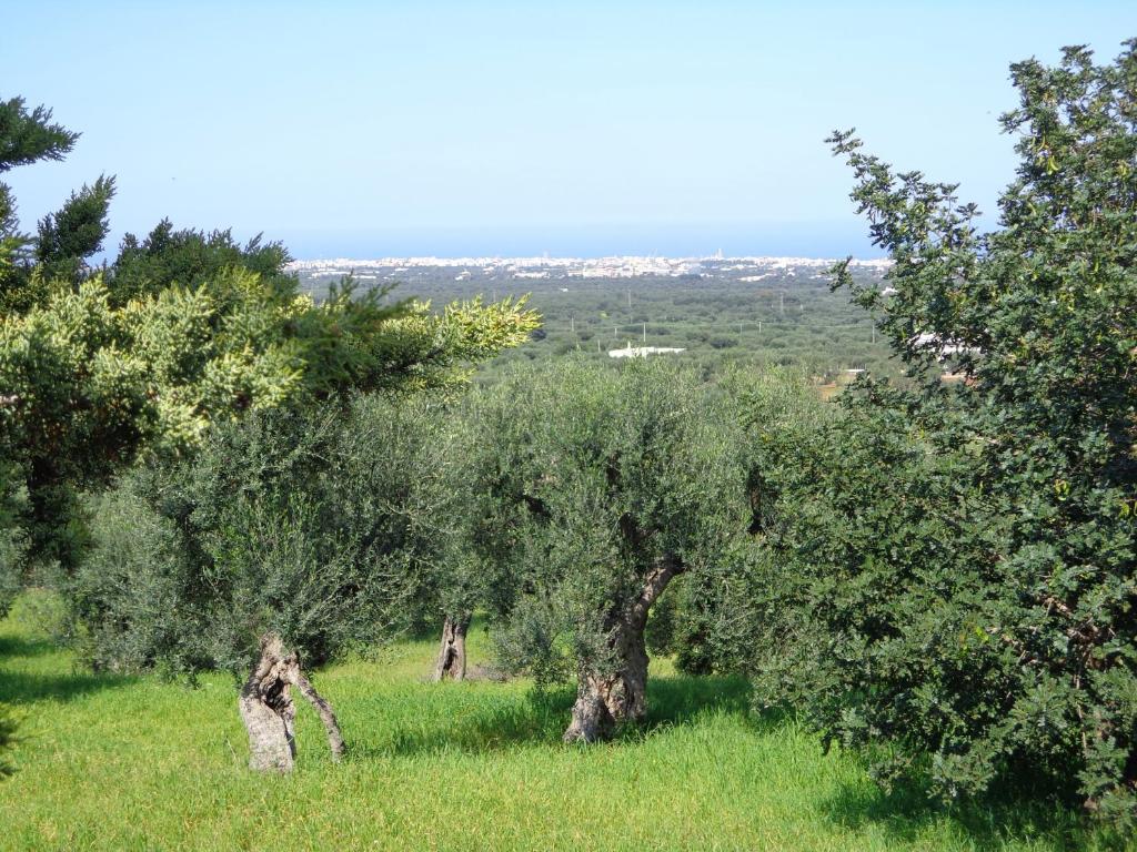 Alla Panoramica Monopoli Zewnętrze zdjęcie